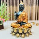 The Enlightened Grace – Blessing Buddha