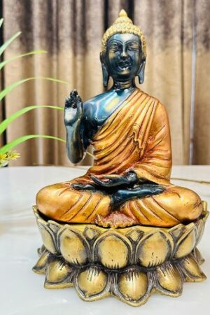 The Enlightened Grace – Blessing Buddha